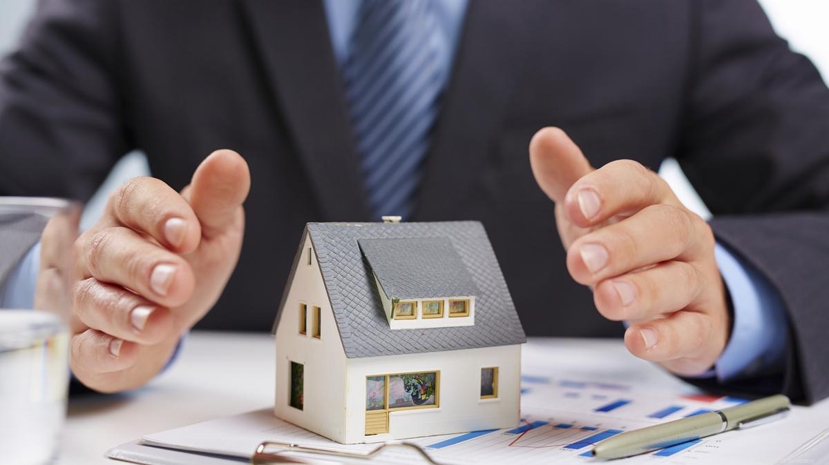 your property section